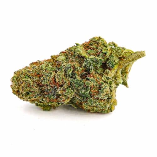 Cheese CBD fleur de chanvre l&eacute;gale