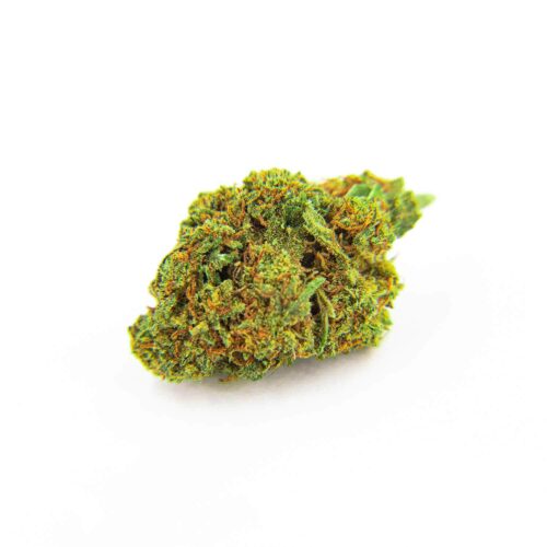 Fleurs CBD Fragolina puissante et pas cher Mybud Shop